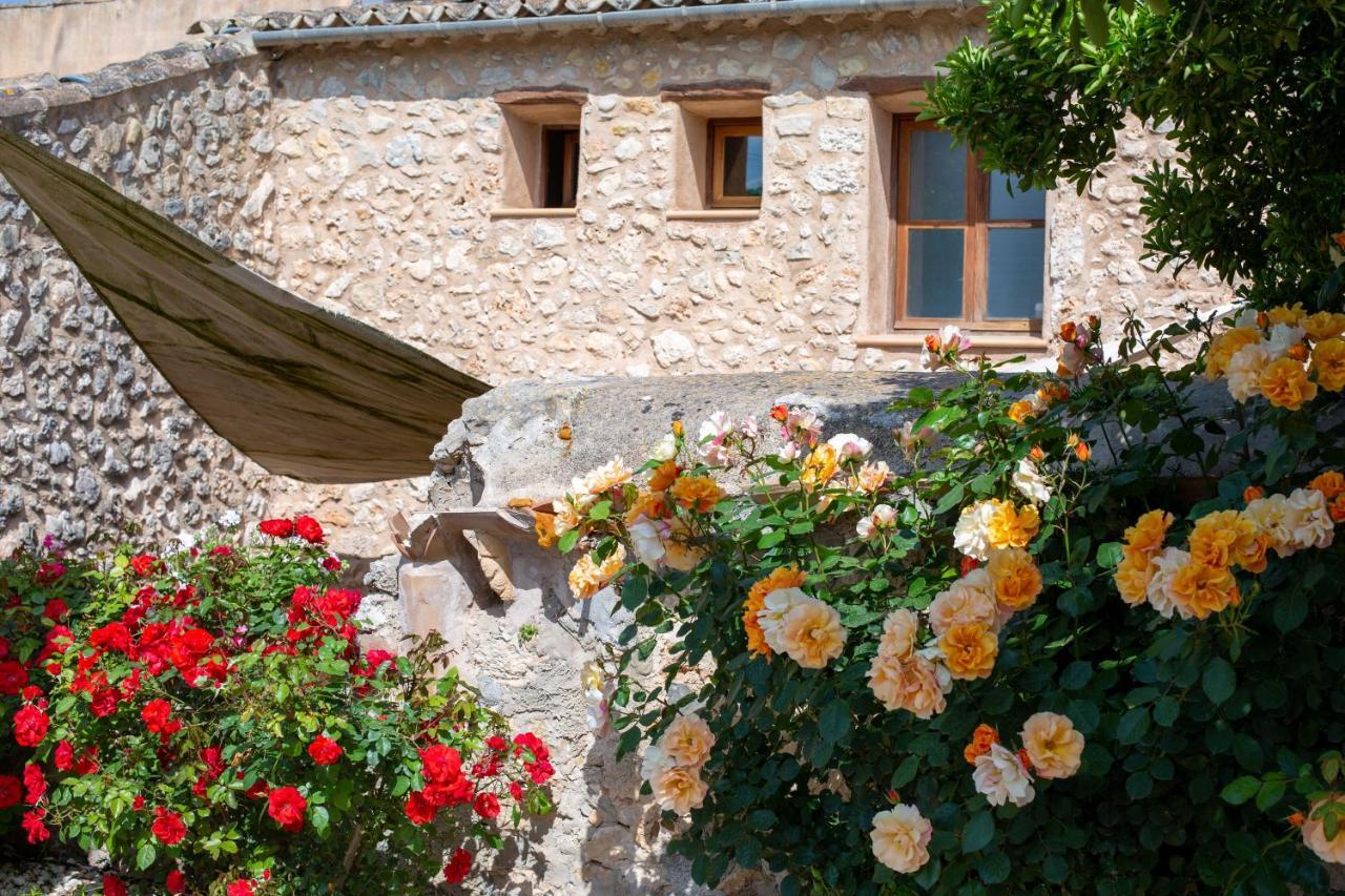 Hotel Sa Barcella Ti 64 Sineu  Exteriér fotografie